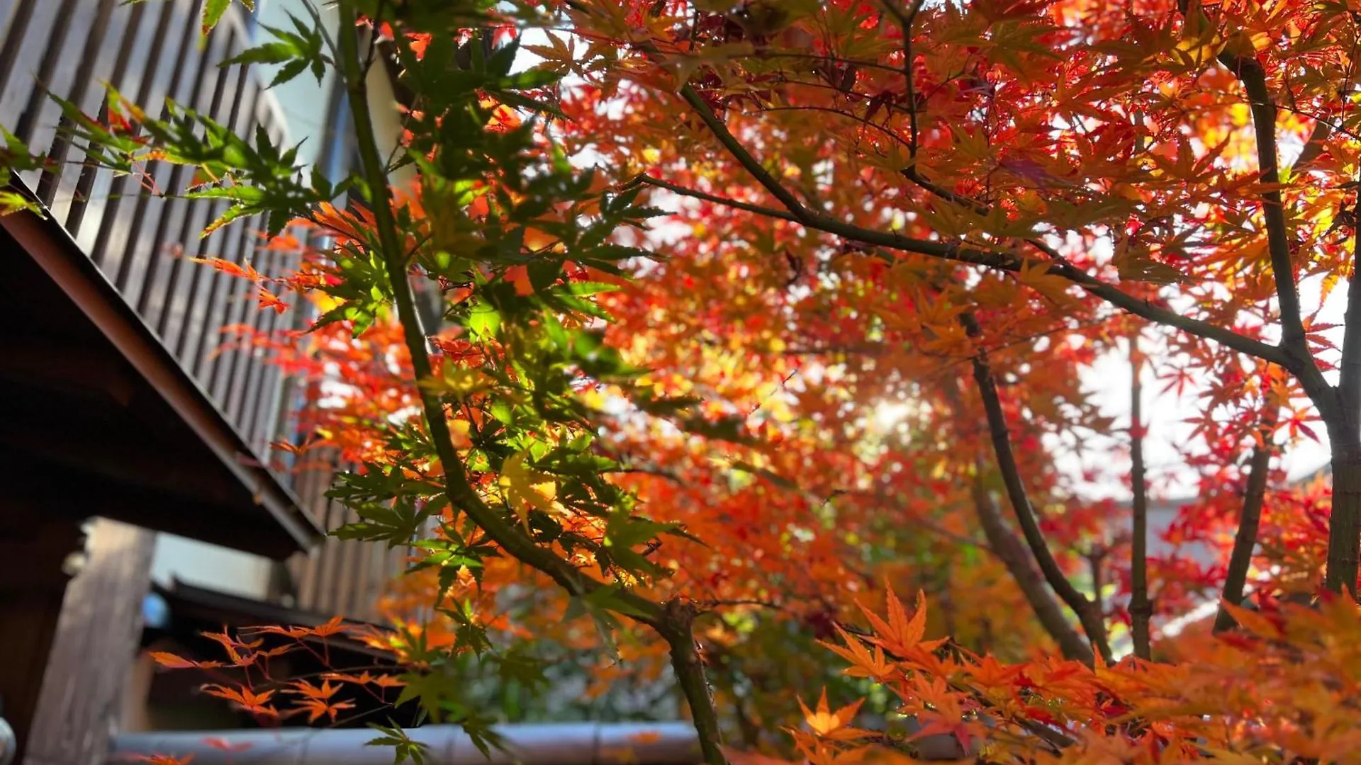 Holiday home Imakumano Terrace - Dohachi An 道八庵 Villa Kyoto